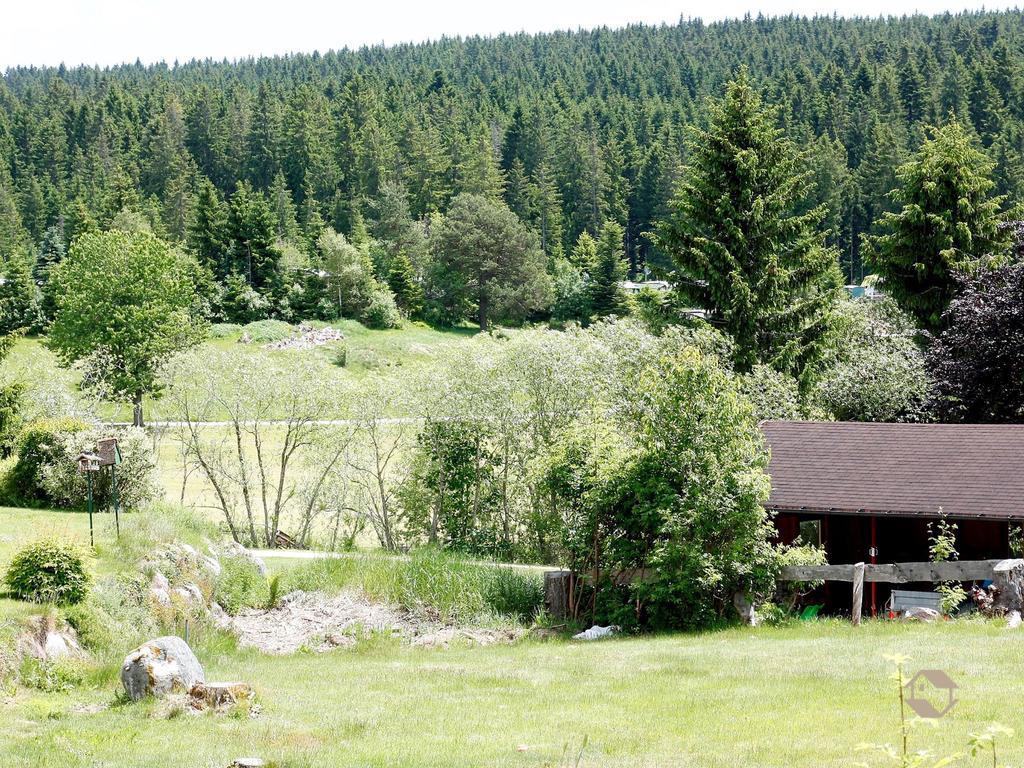 Apartmán Haus Doerflinger Schluchsee Exteriér fotografie